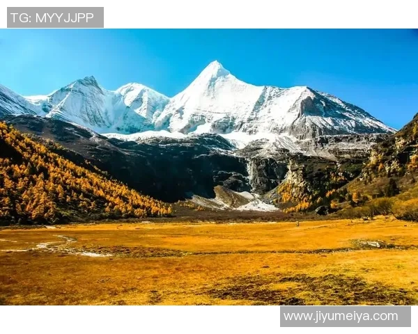 探索阿拉巴的文化魅力与自然风光，揭开这片土地的神秘面纱